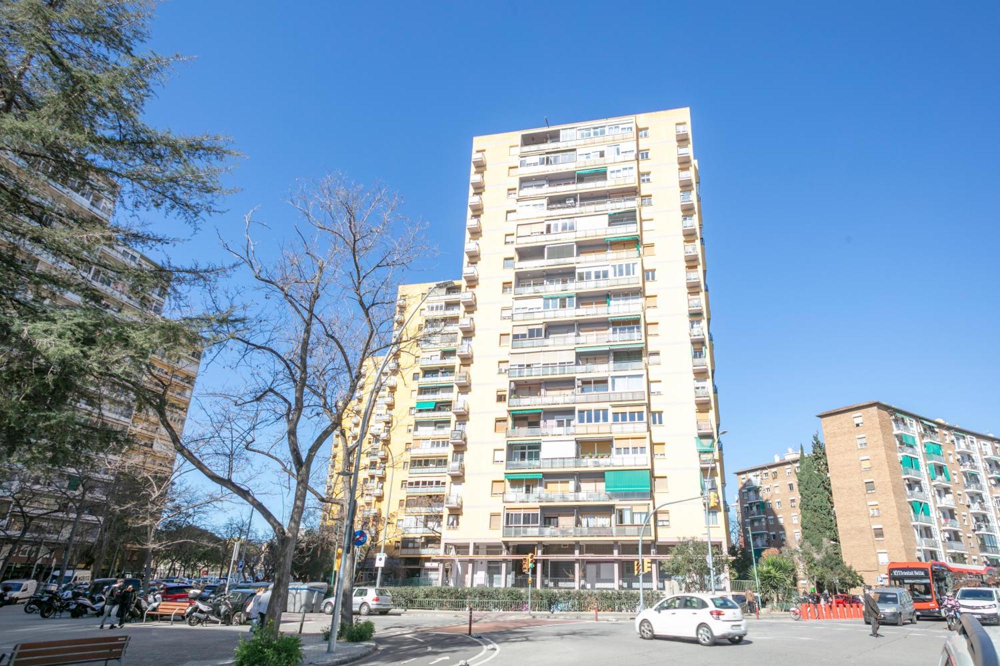 Alcam Cantabria * Barcellona